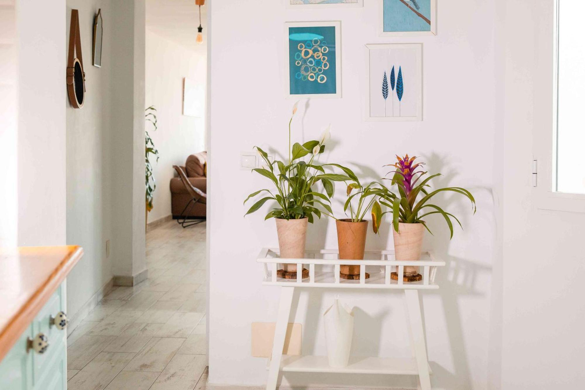 Atico Deluxe En El Centro By Lets Malaga Apartment Exterior photo